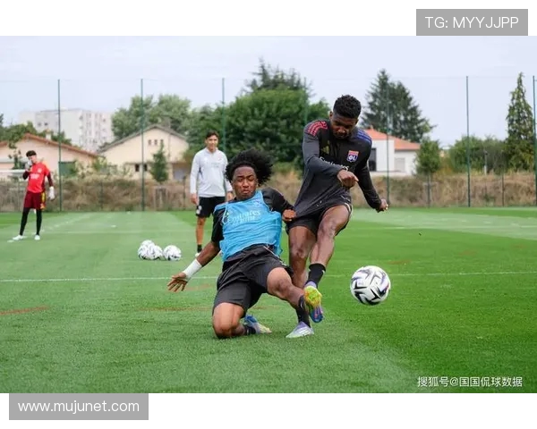 法甲里昂球迷活动策划与球迷文化建设